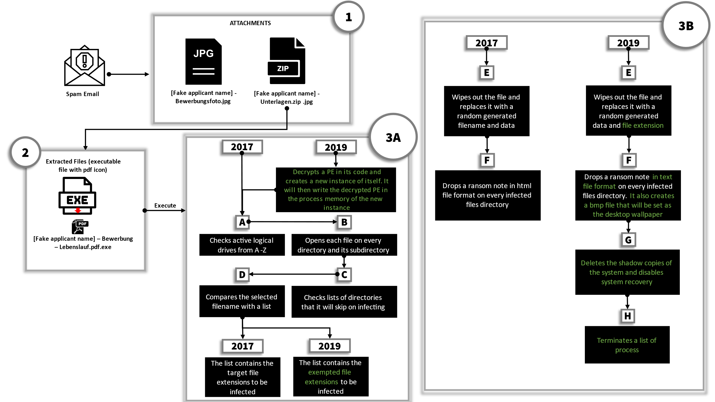 Overview of the infection steps used by Ordinypt